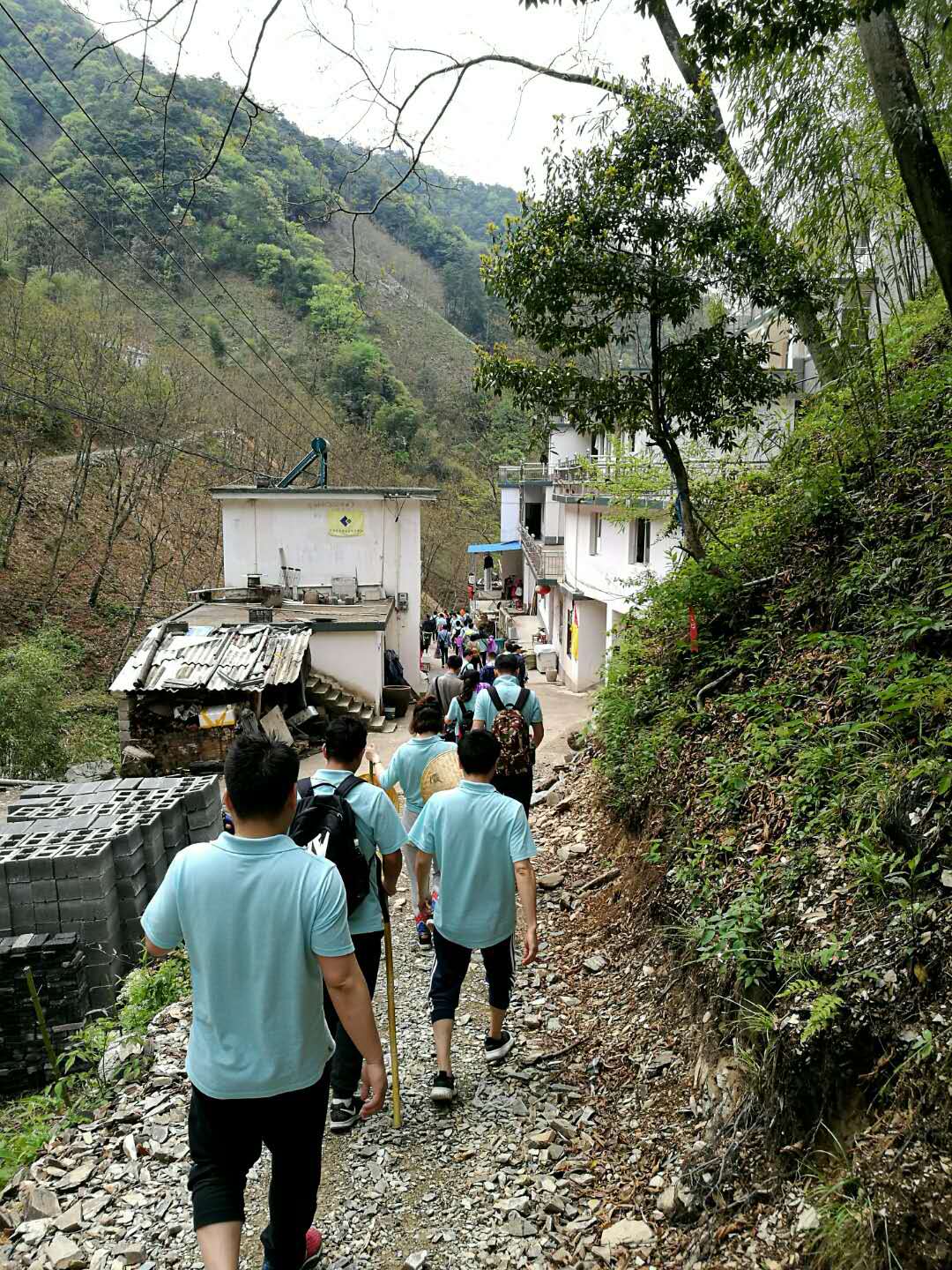 香港免费公开资料大全