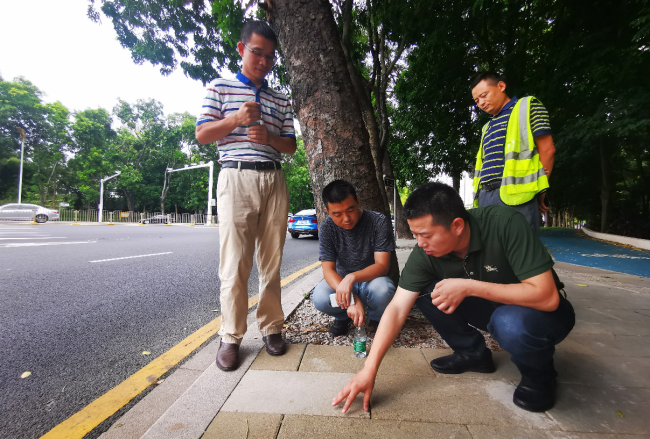 香港免费公开资料大全