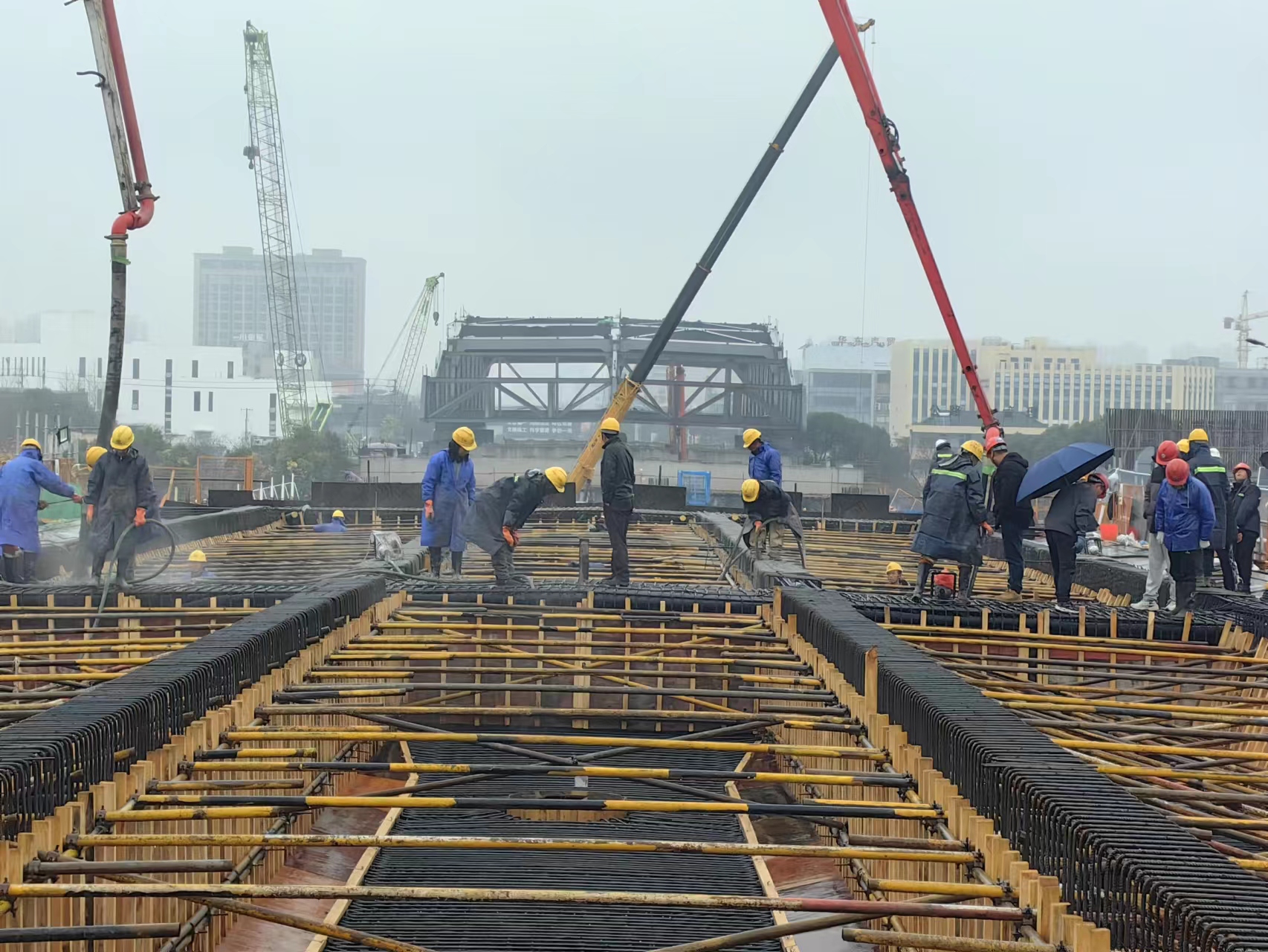 香港免费公开资料大全